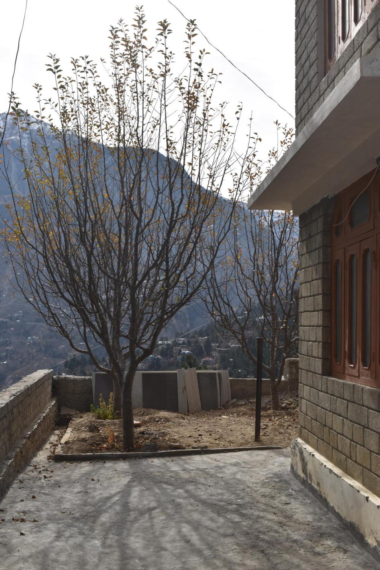 Sonam Reckong Peo Homestay Kalpa